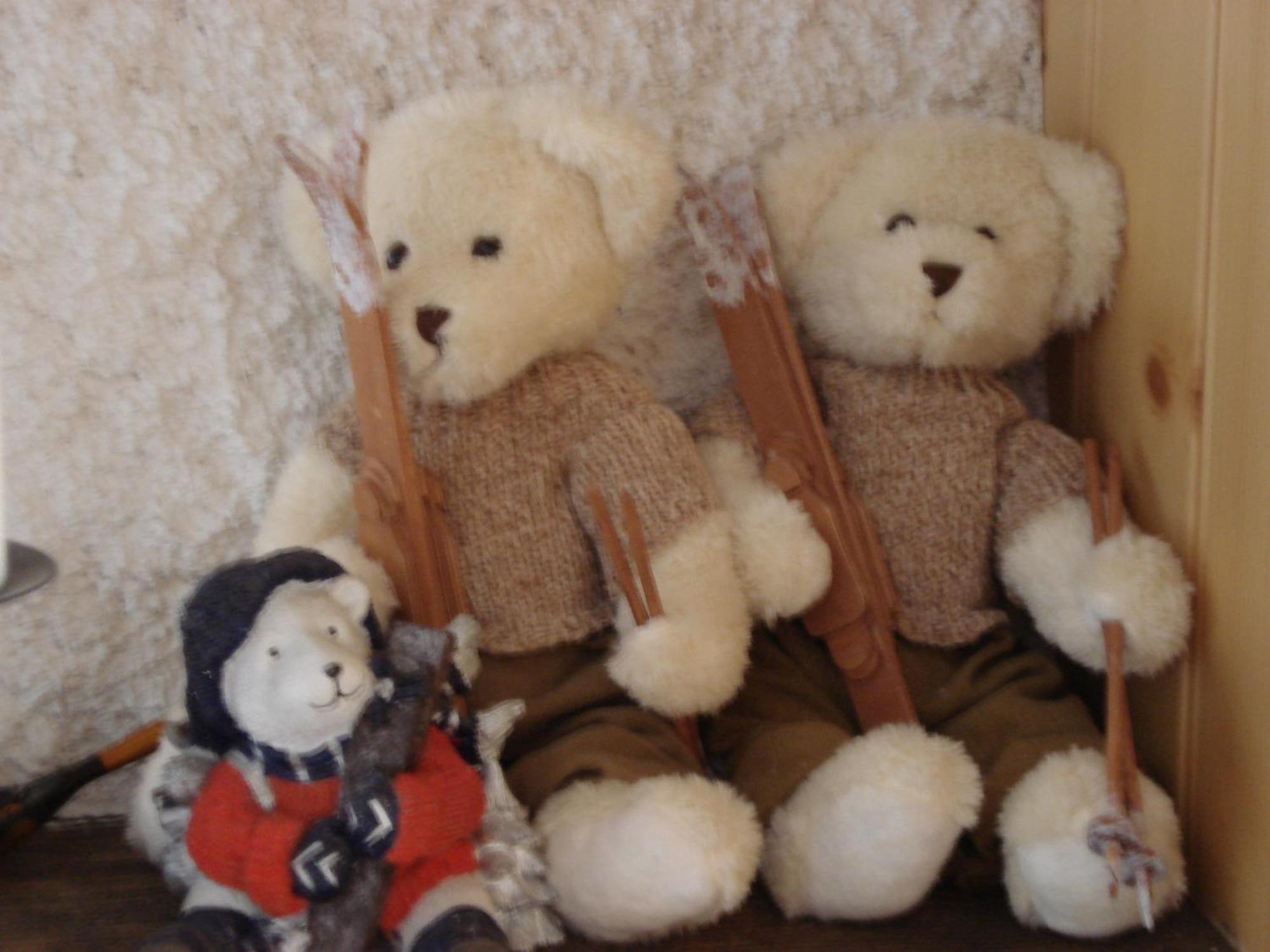 Petit Ours Villars-sur-Ollon