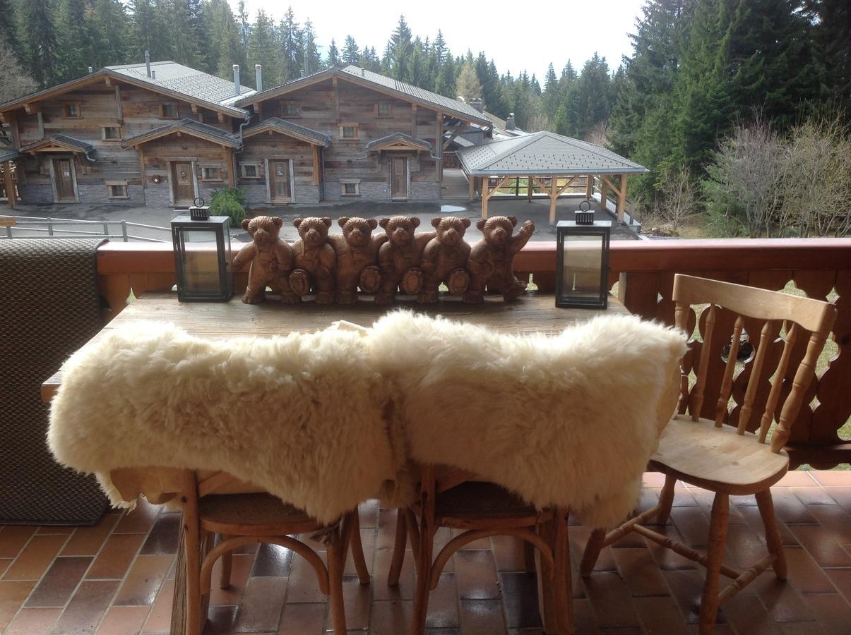 Petit Ours Villars-sur-Ollon